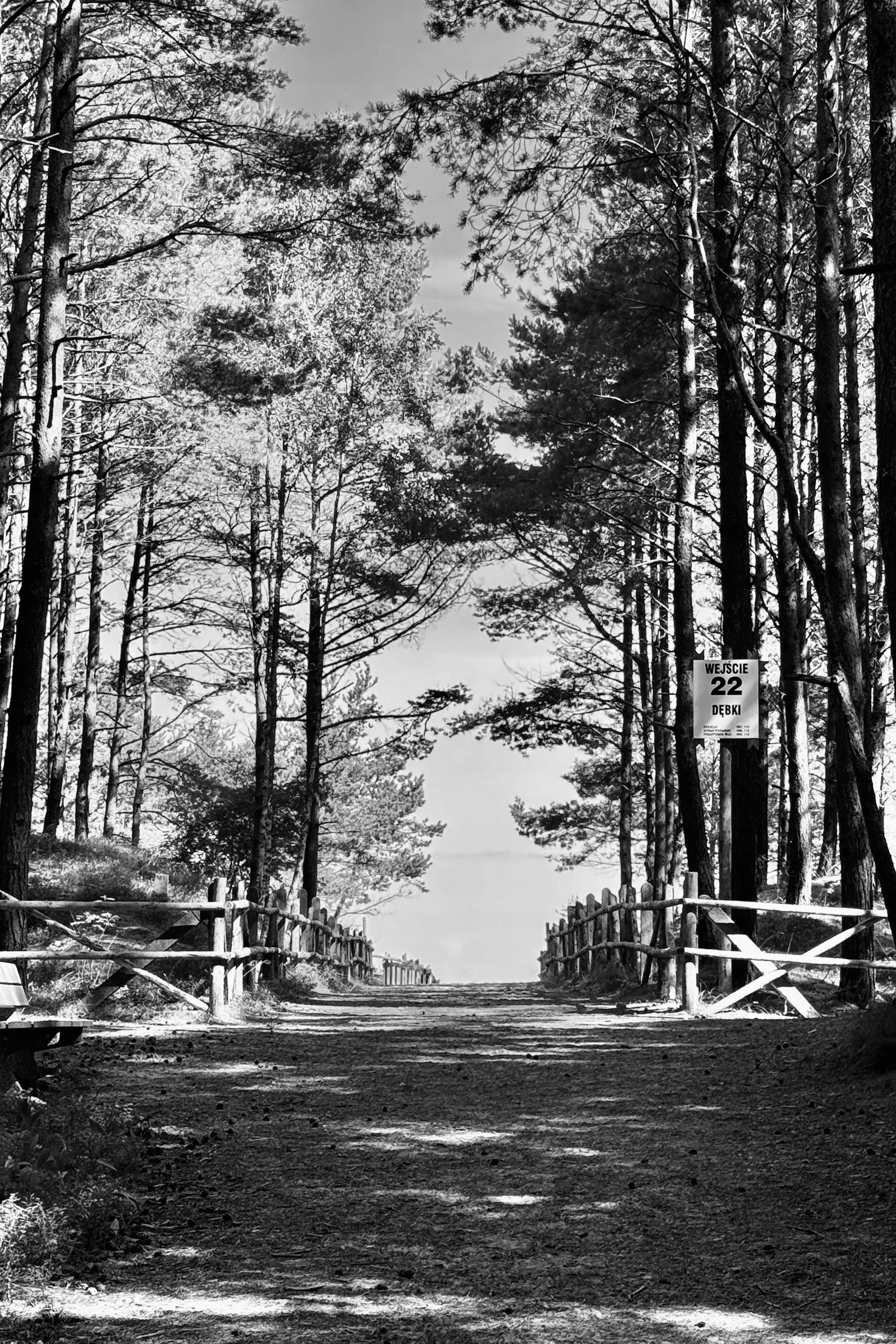 Dębki Wejście 22