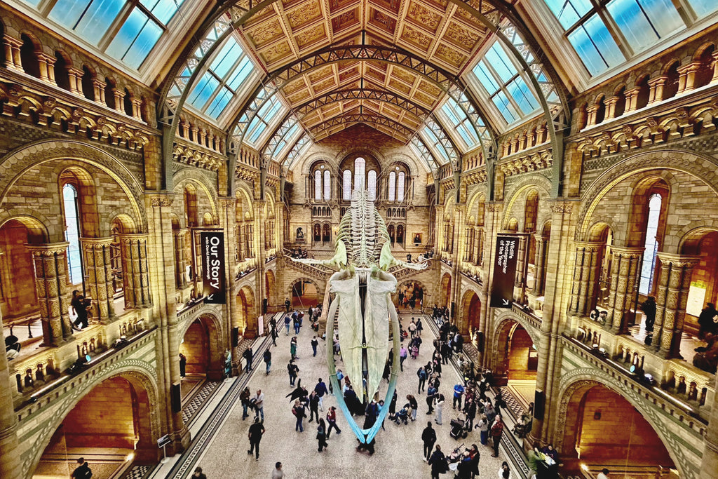 Londyn Muzeum Historii Naturalnej