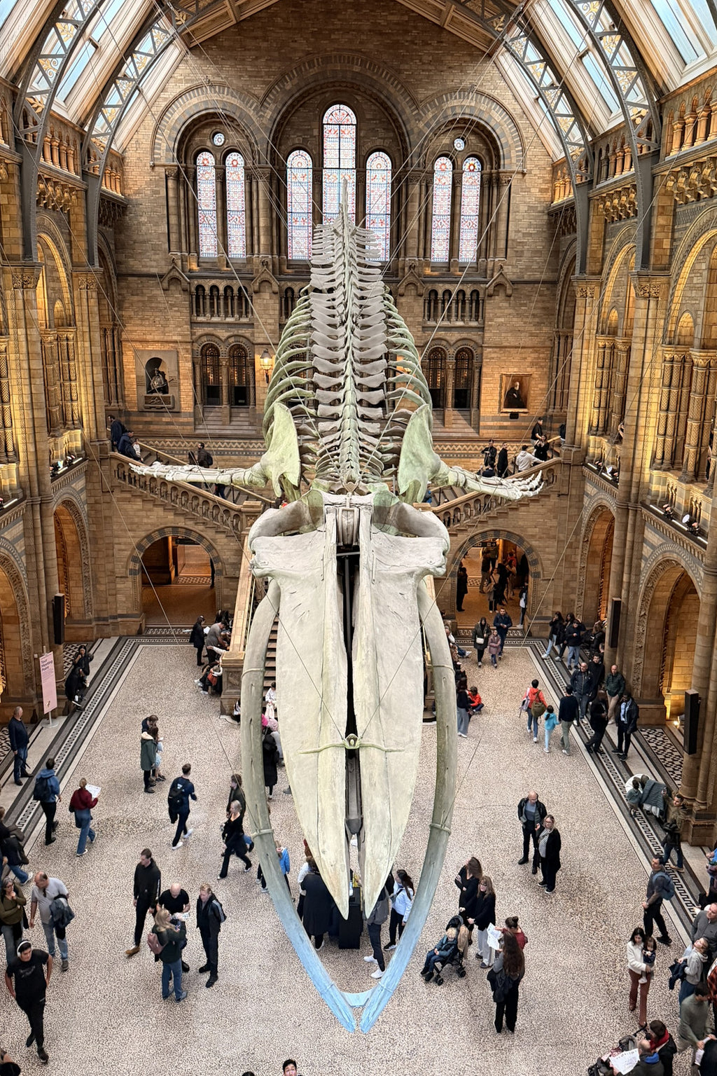 Natural History Museum