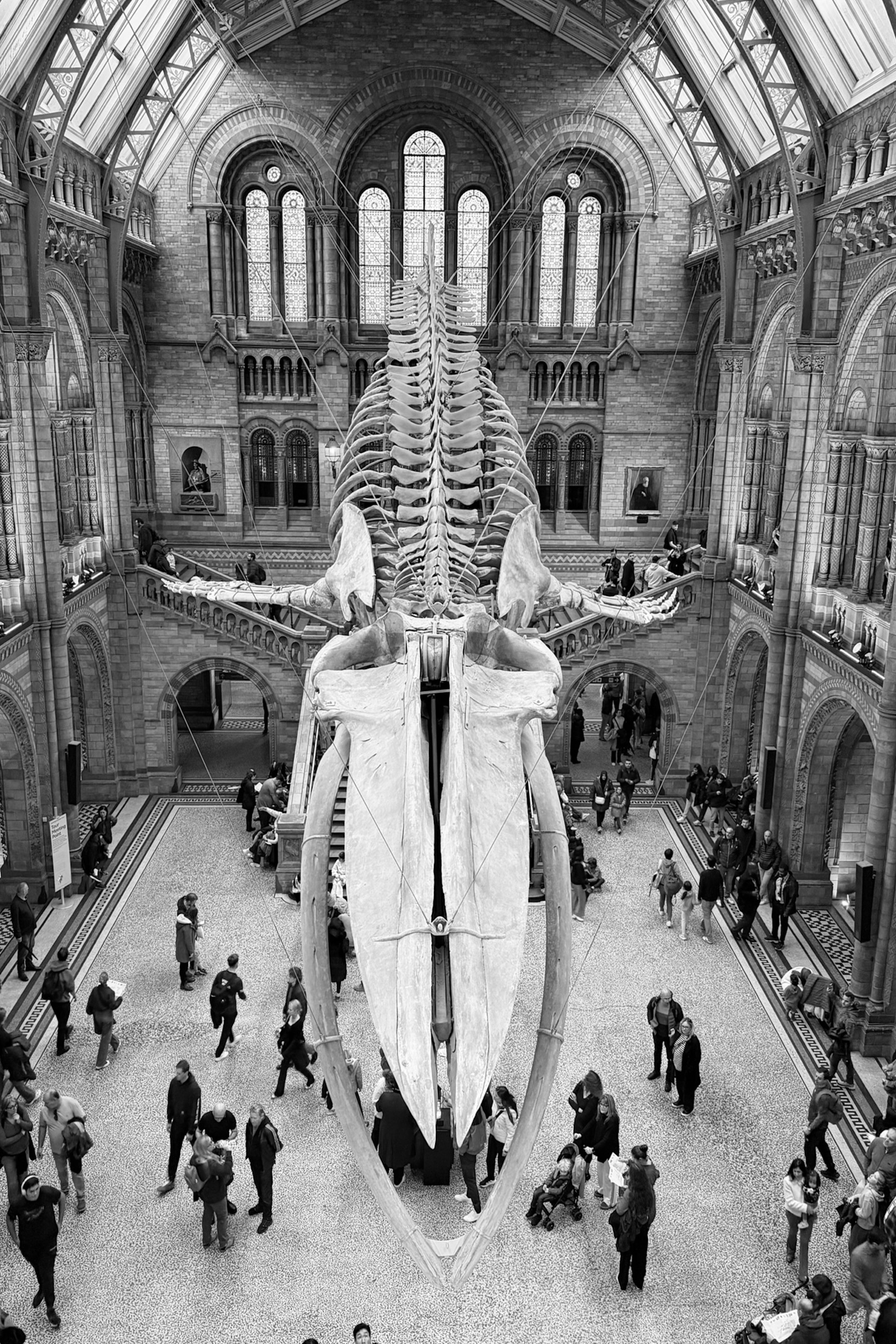 Natural History Museum