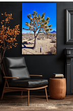Joshua Tree