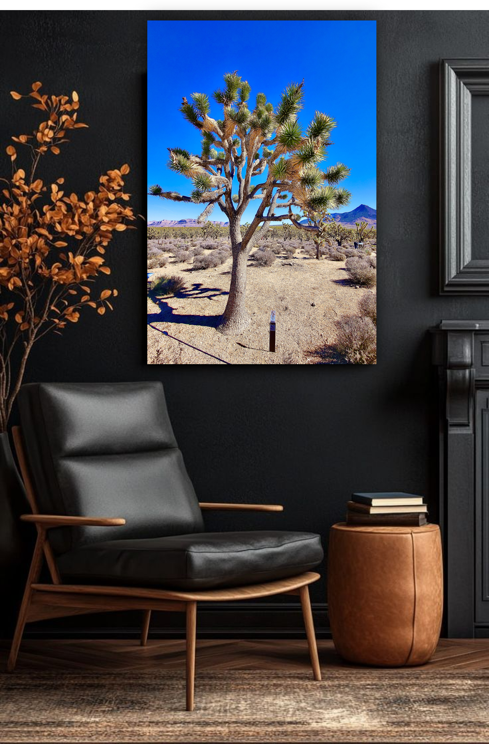 Joshua Tree