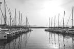 Port Olbia