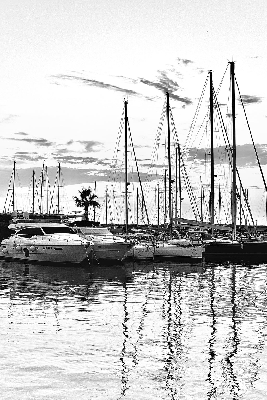 Porto di Pisa