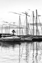 Porto di Pisa