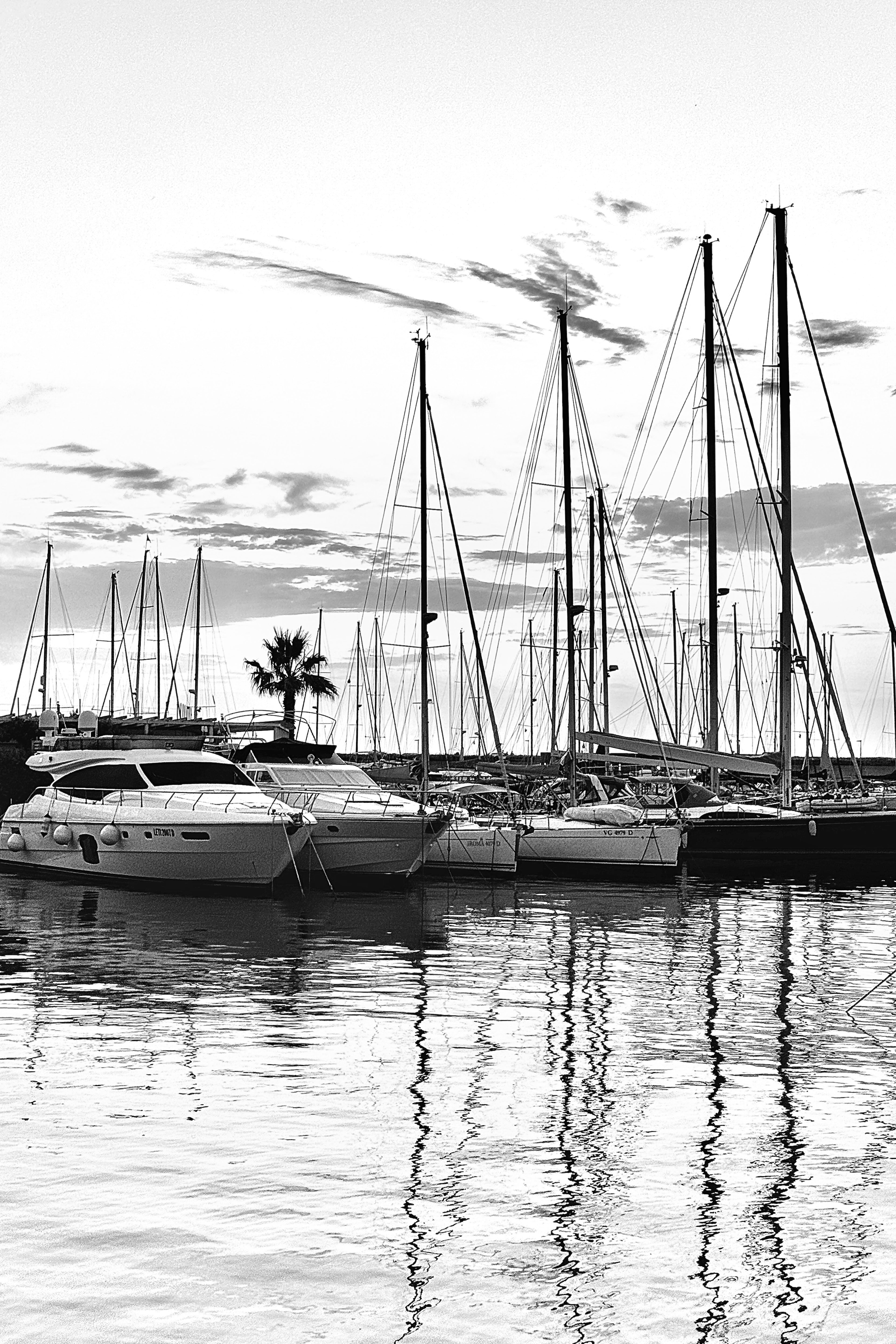 Porto di Pisa