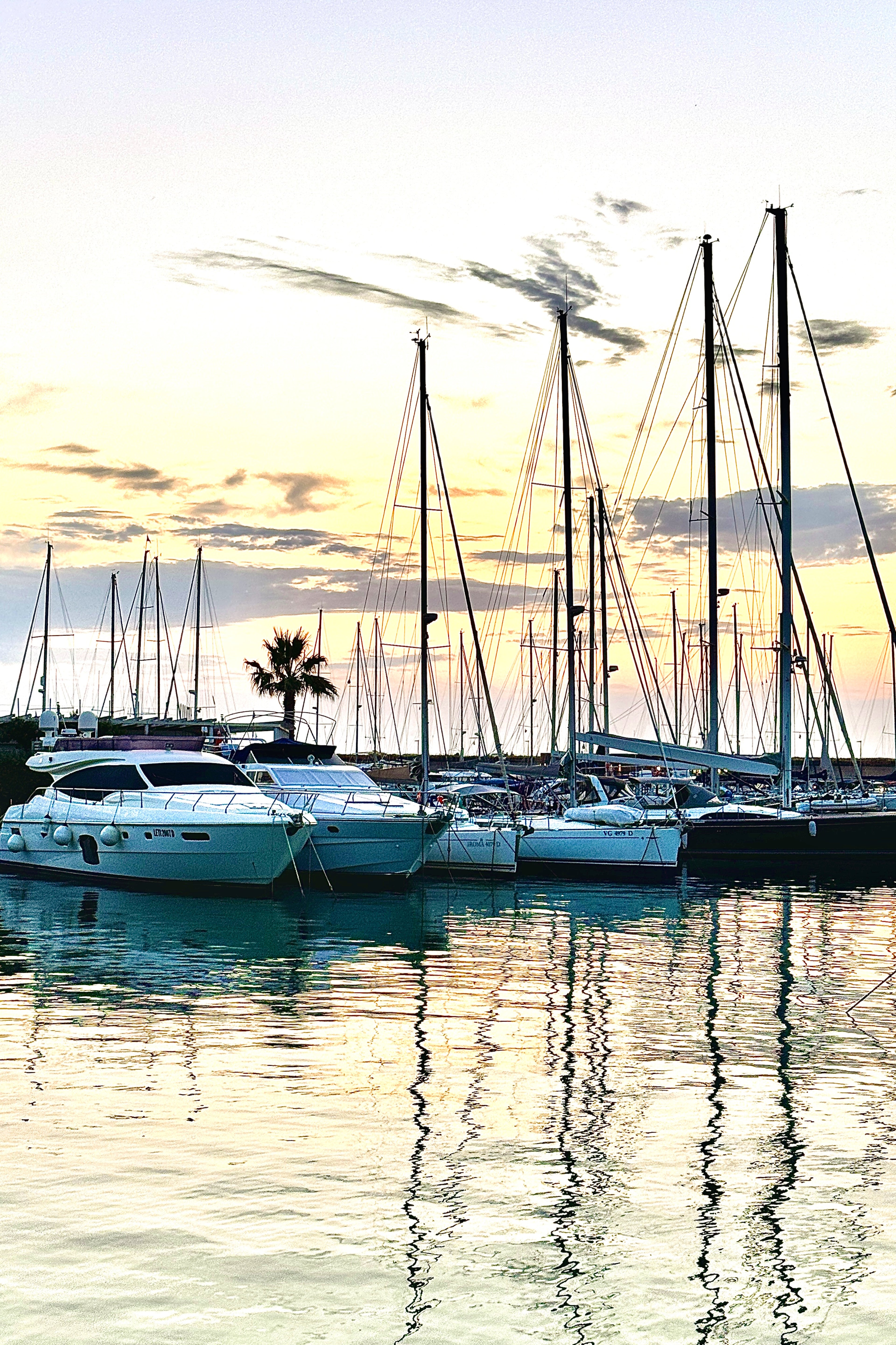Porto di Pisa
