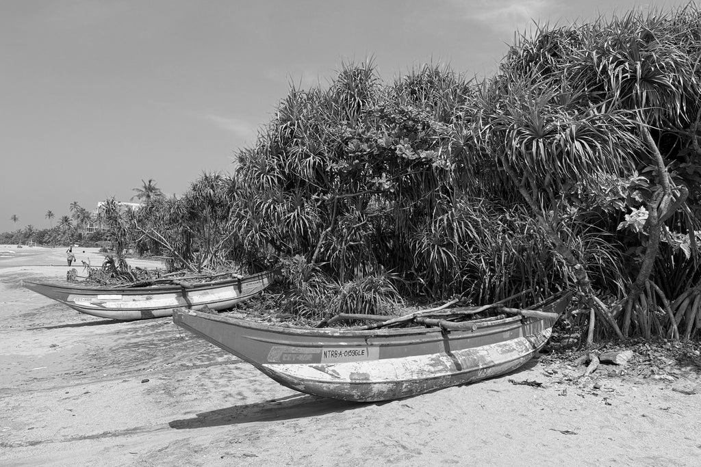 Sri Lanka Beach