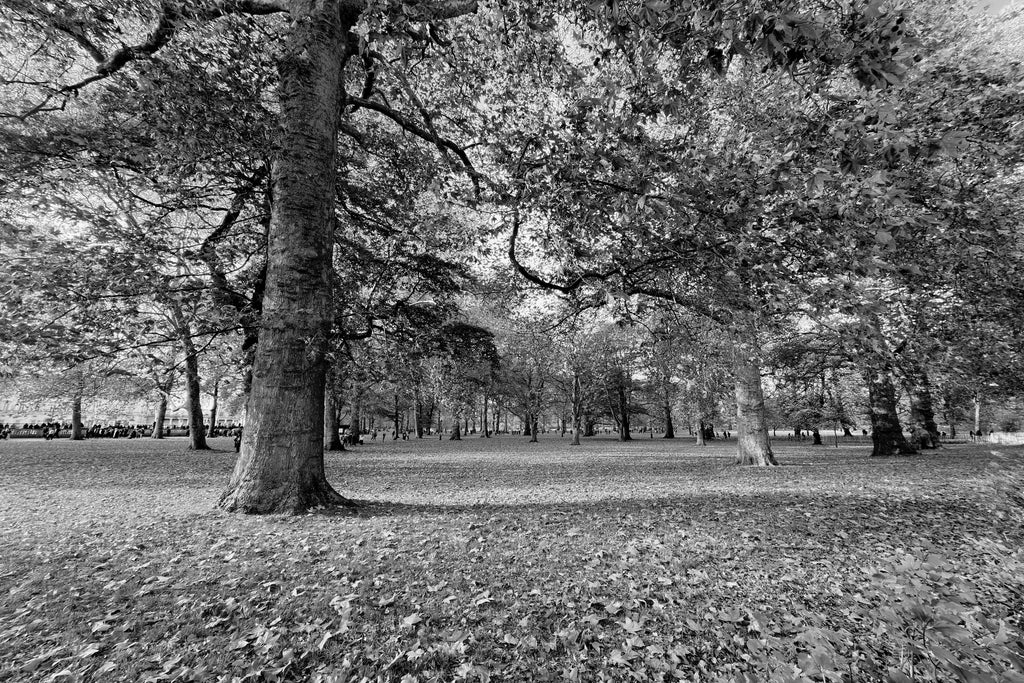 The Green Park