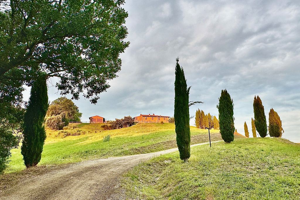 Toscania Poggio Giuila