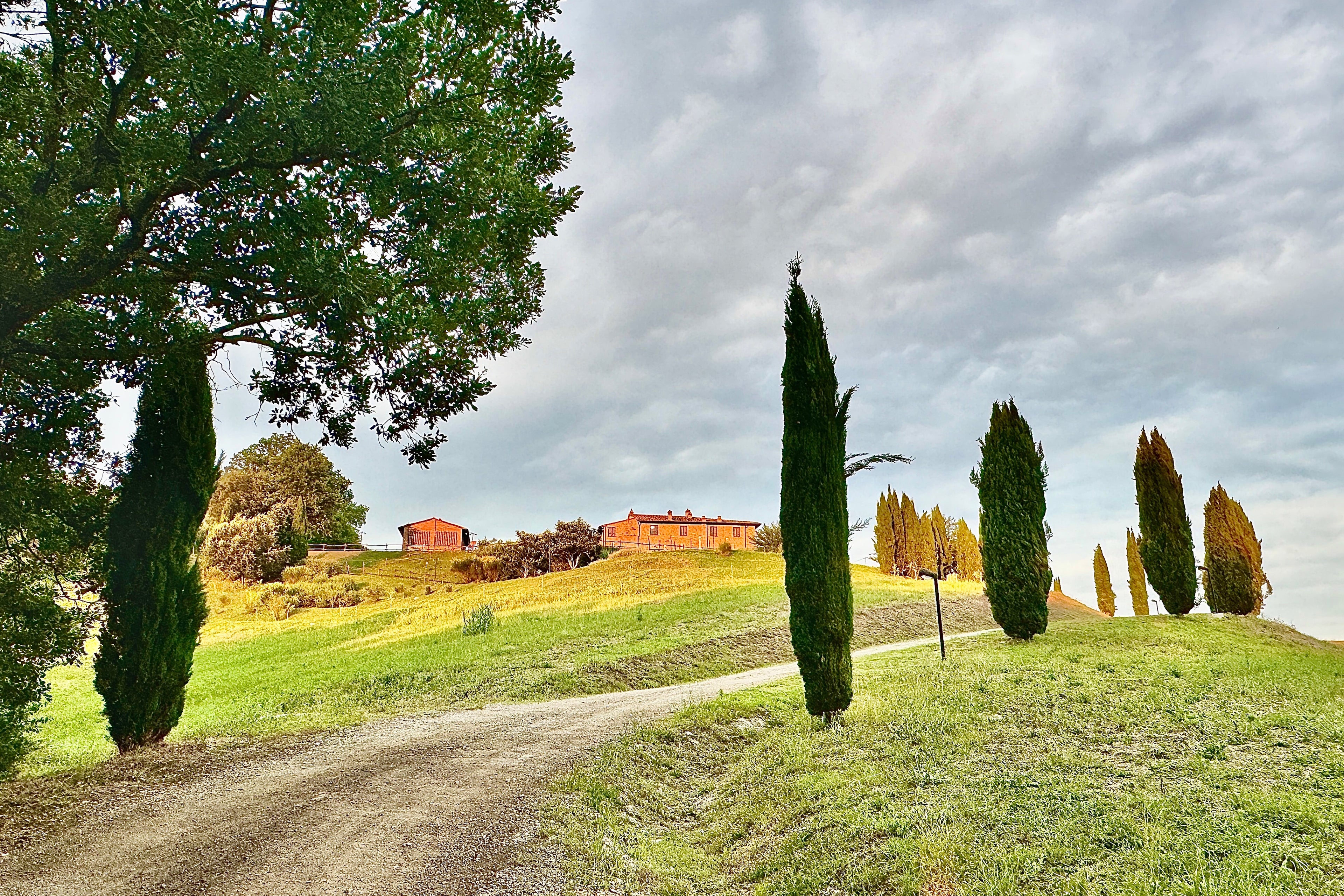Toscania Poggio Giuila