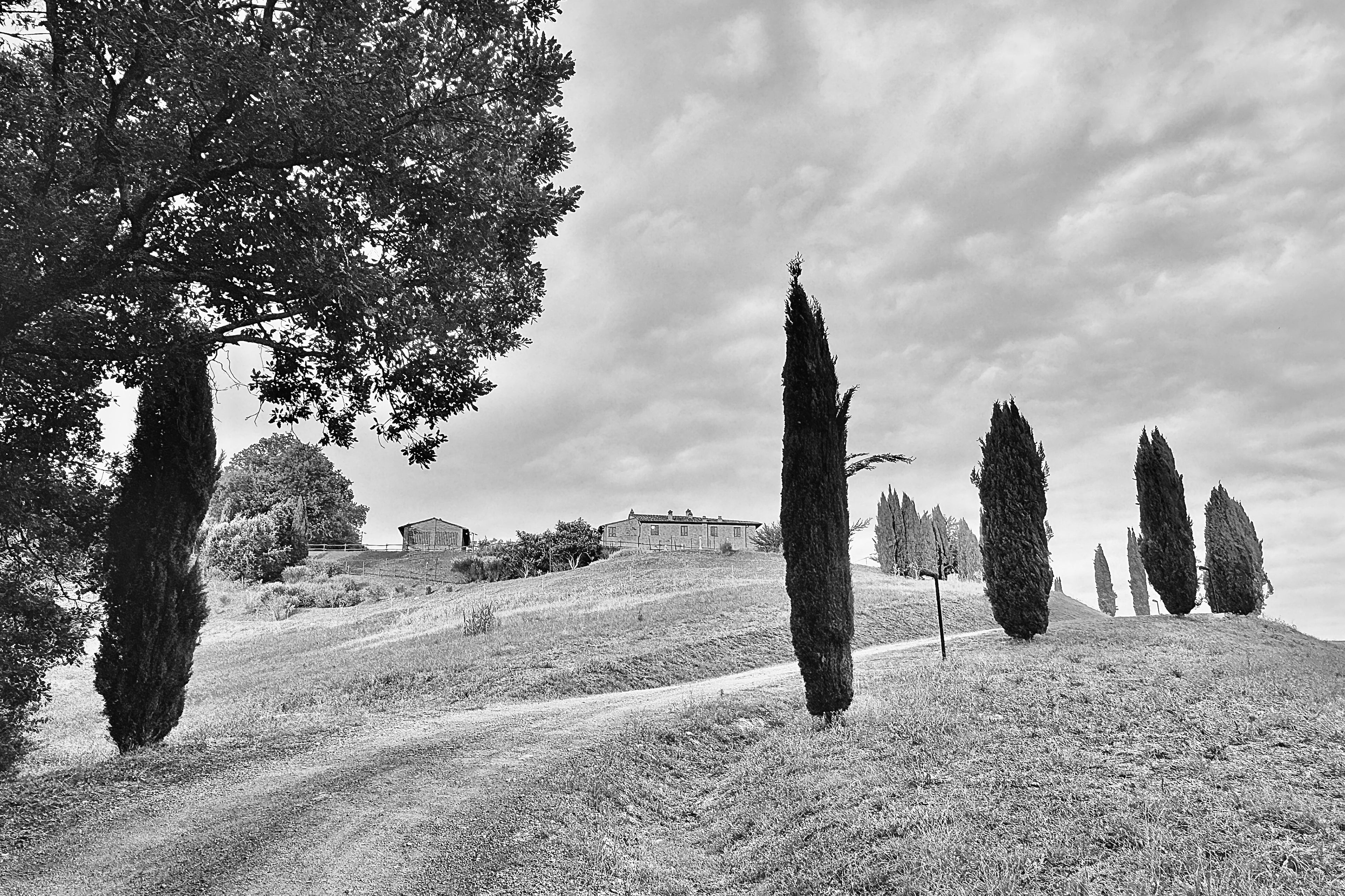 Toscania Poggio Giuila