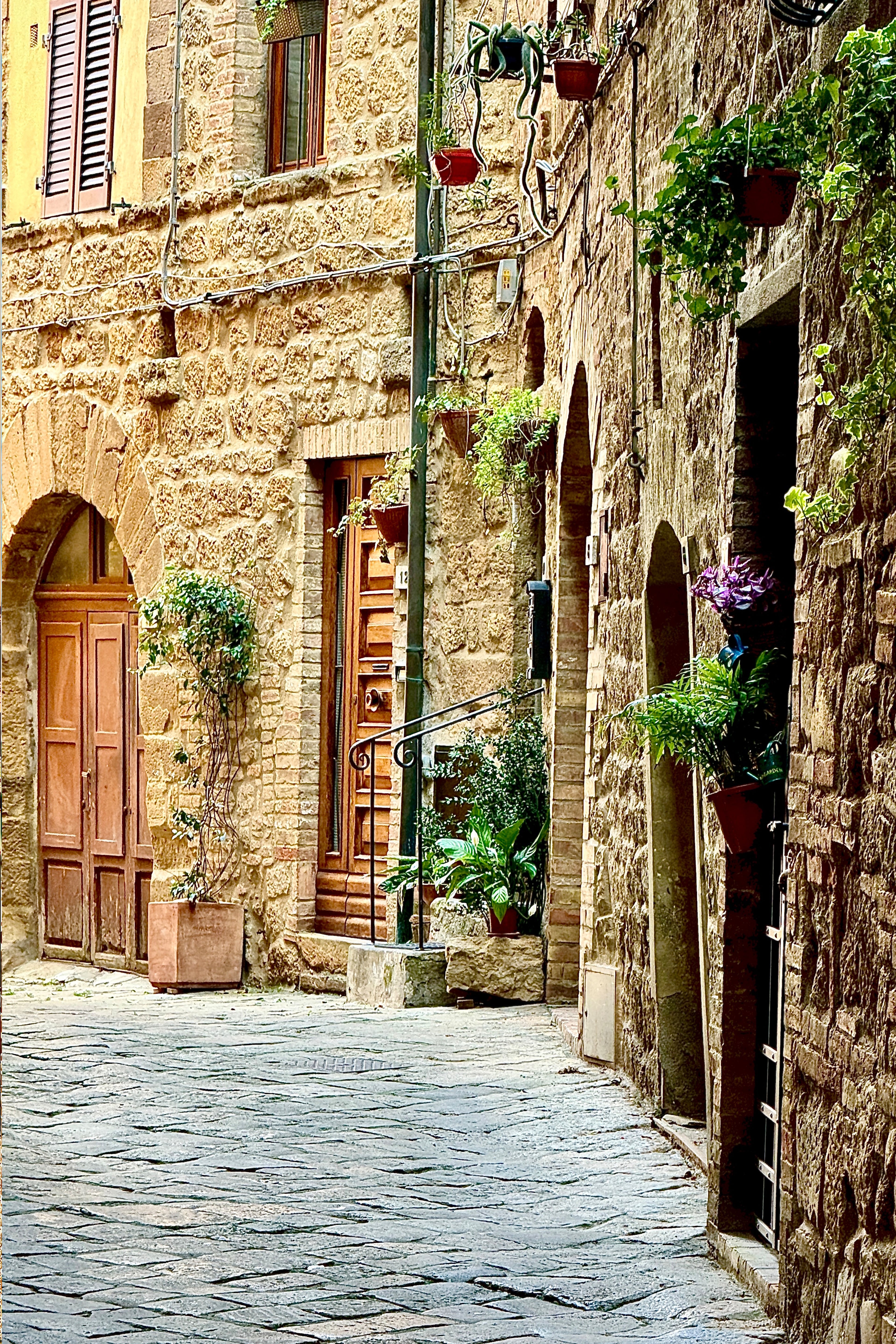 Volterra