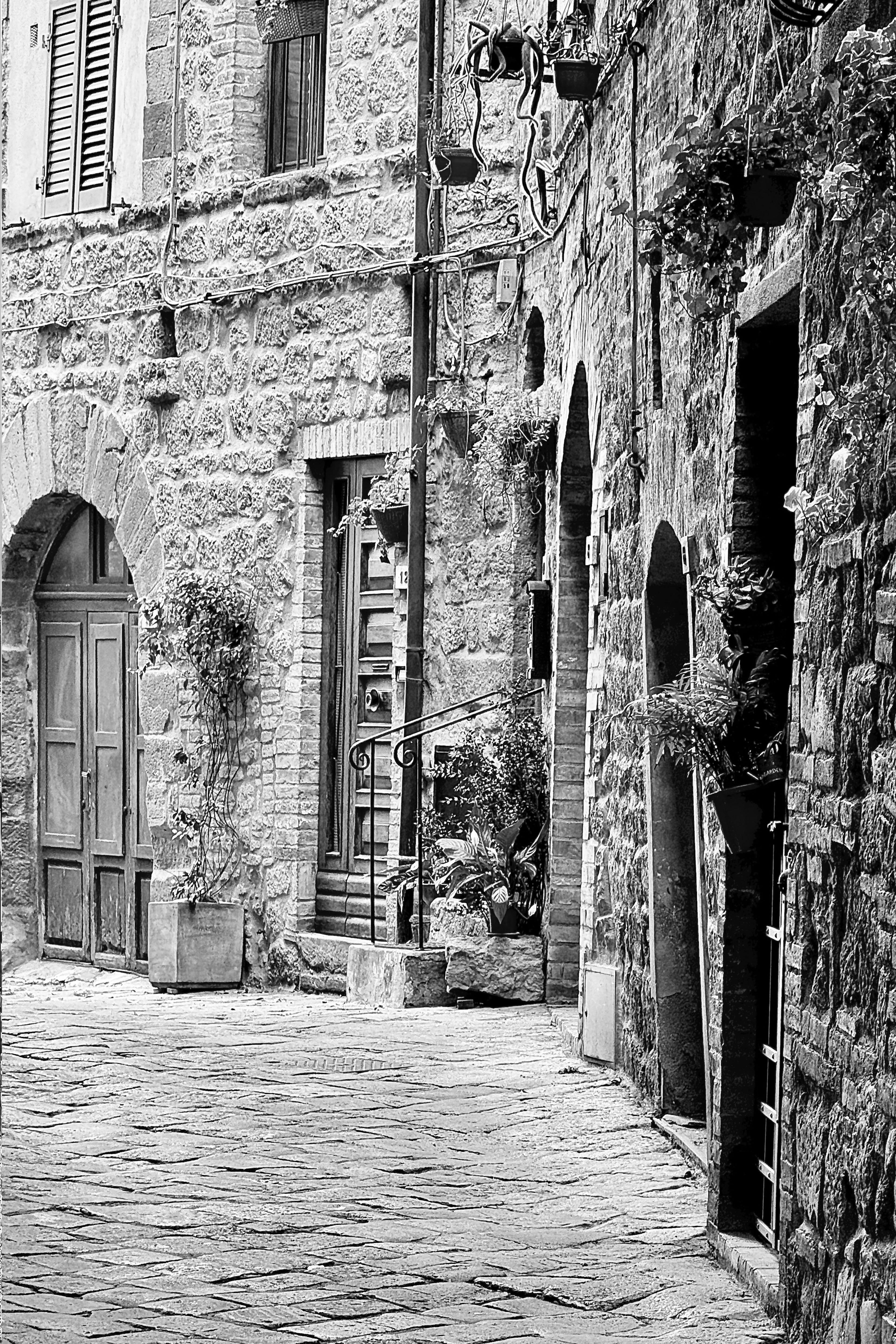 Volterra