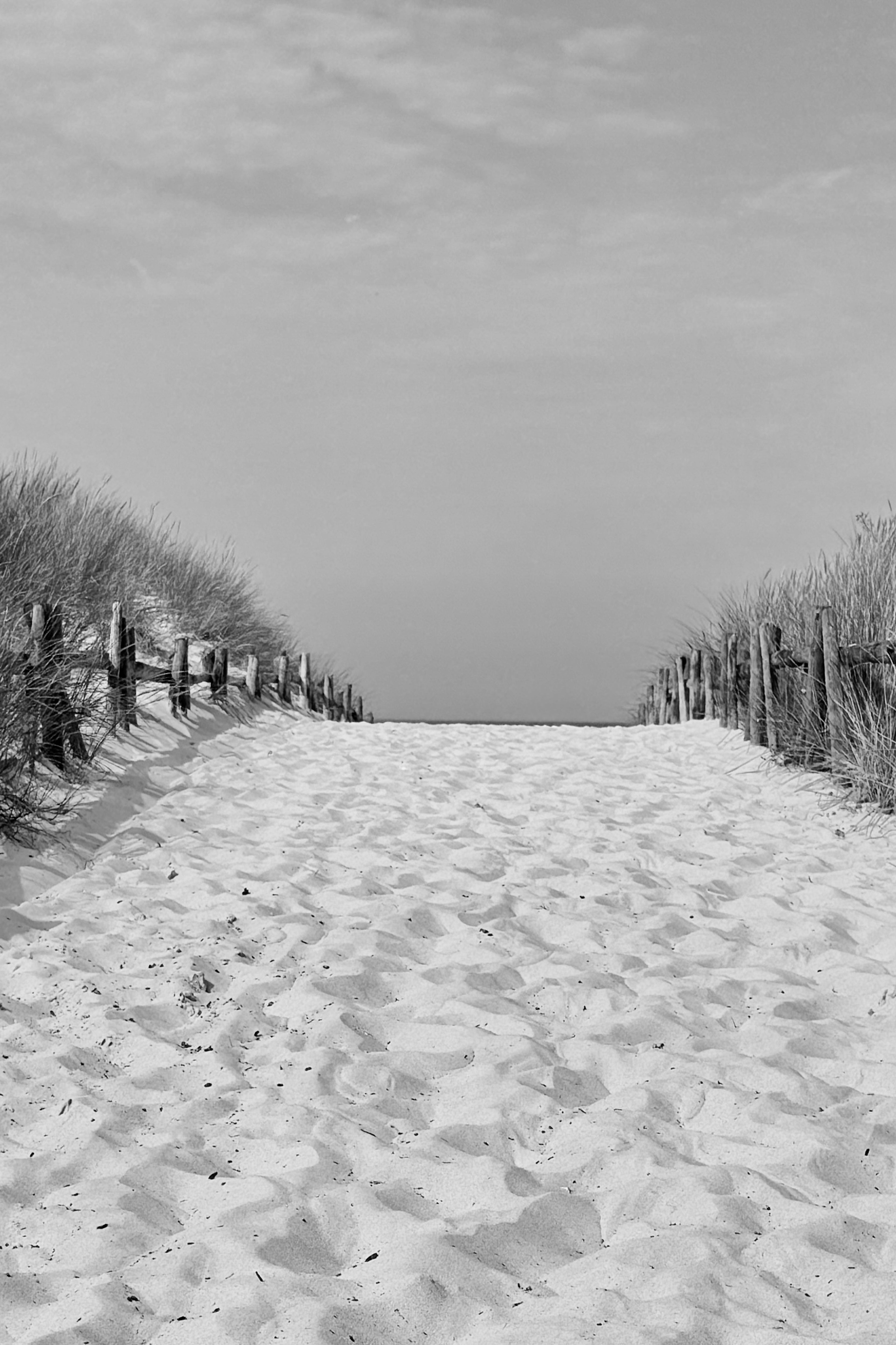 Wejście Na Plażę Białogóra
