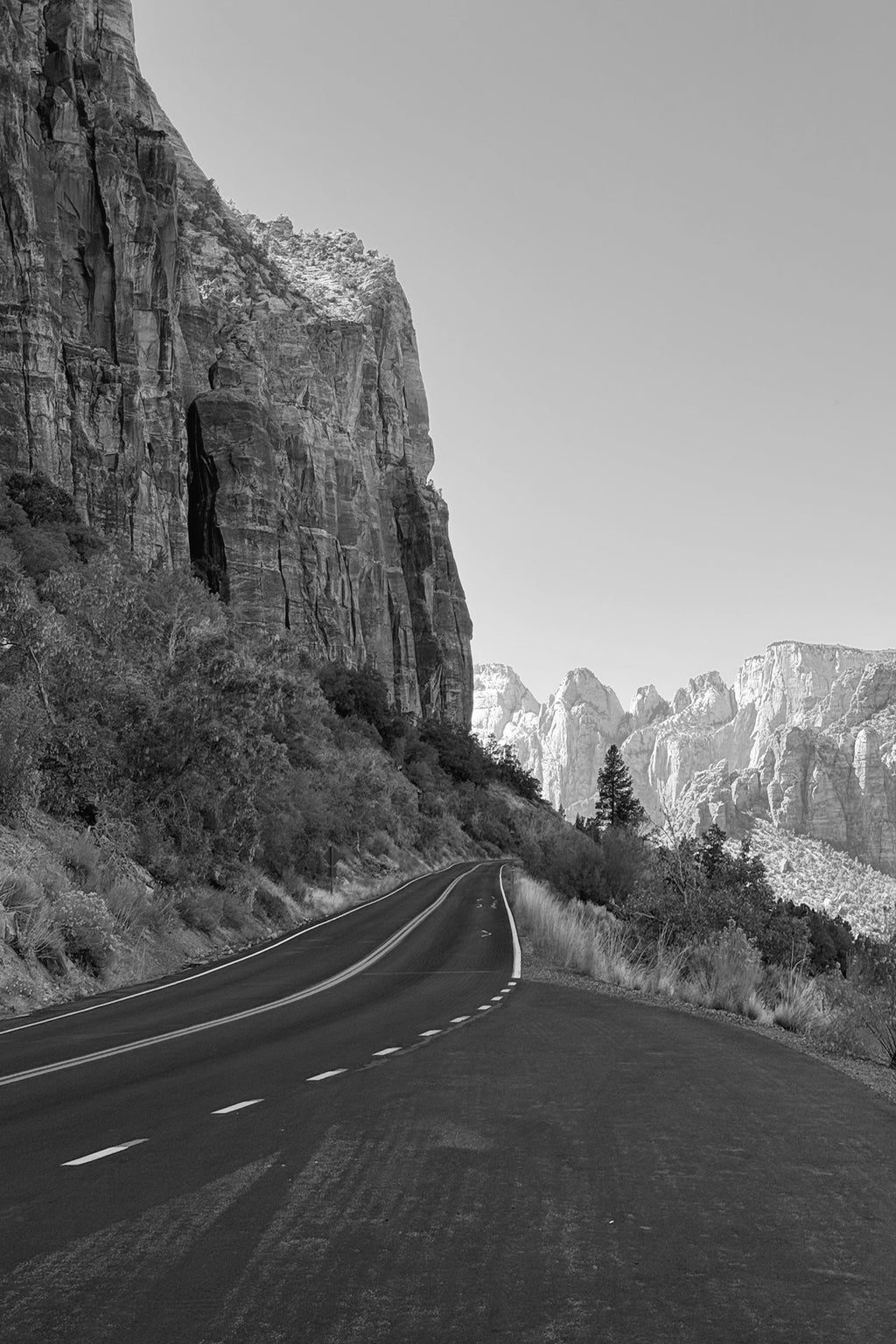 Zion Canyon Road
