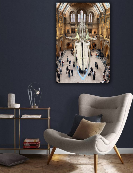 Natural History Museum