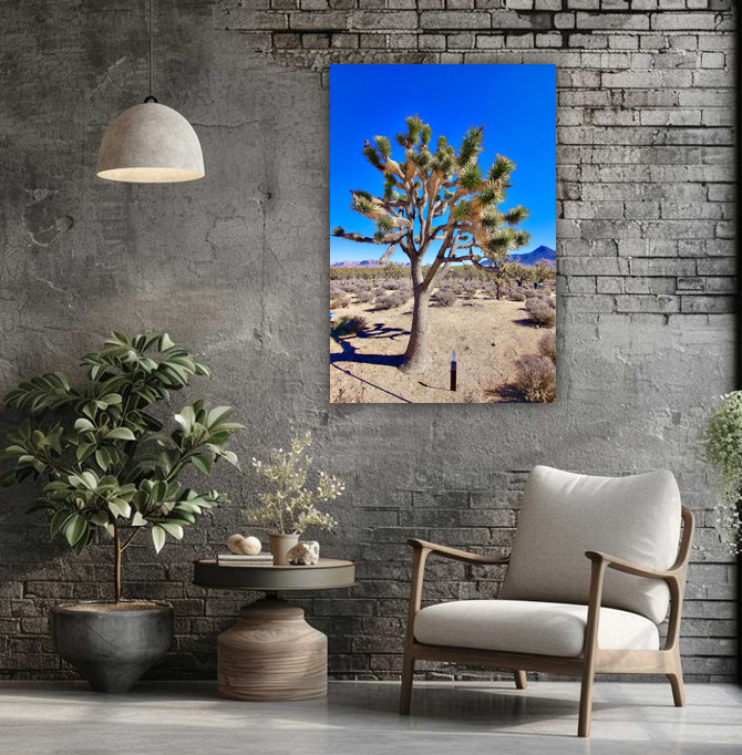 Joshua Tree