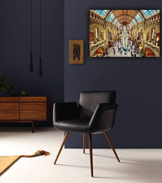 Londyn Muzeum Historii Naturalnej