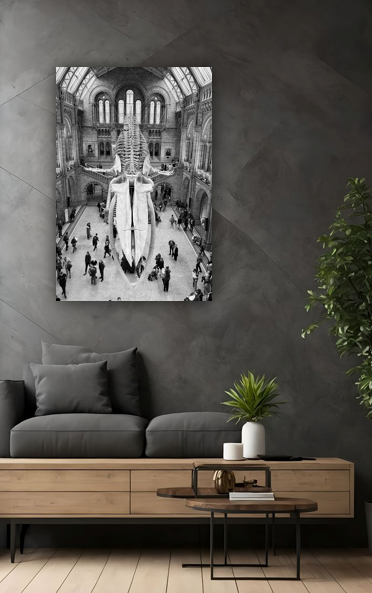 Natural History Museum